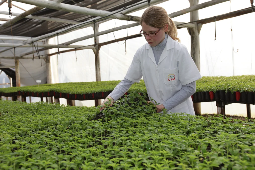 Corn Syrup Solid Mild sweetening bulking medium coarse granulation 42DE