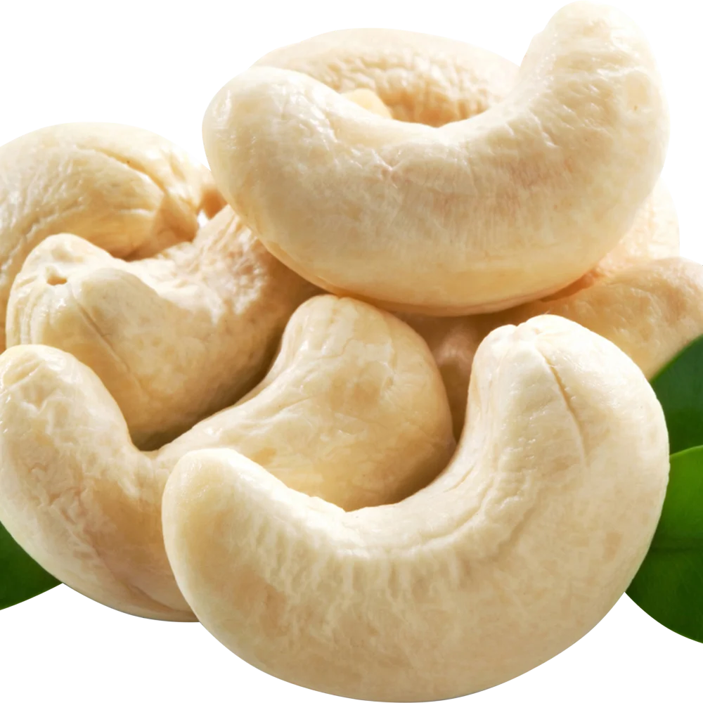 
BEST MANUFACTURE VIETNAM CASHEW KERNEL/CASHEW NUT WITHOUT SHELL - GRADE WS 