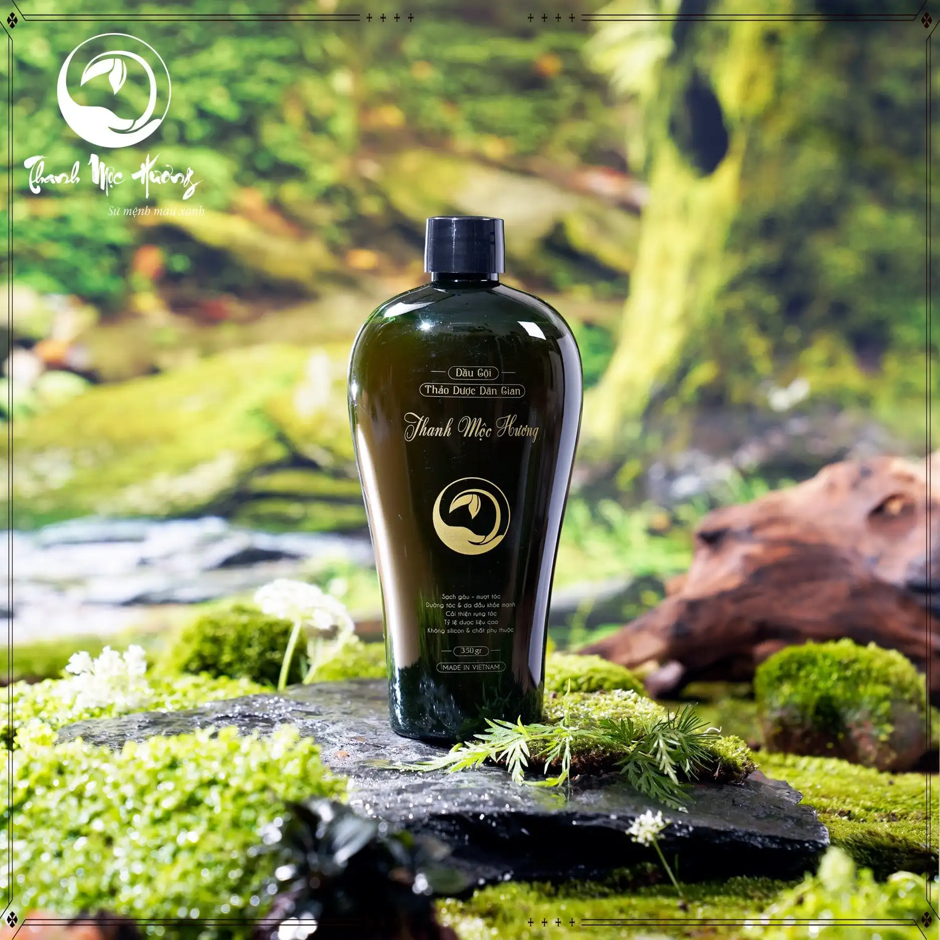 
Organic Shampoo Organic Hair shampoo Hair Growth Private Label Anti-Dandruff Herbal Natural Locust Hair Shampoo and Conditioner 