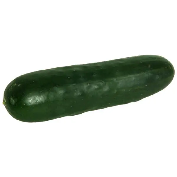 
High Quality Fresh Cucumber/Frozen Cucumber 