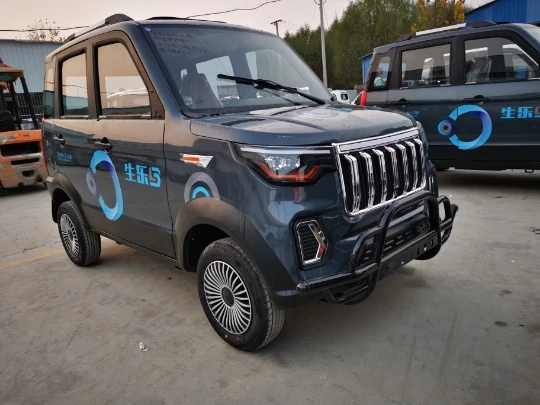 Lesheng 2021 ISO Certificated GPS 52km/h Right&*left Hand Steering Wheel Electric Car