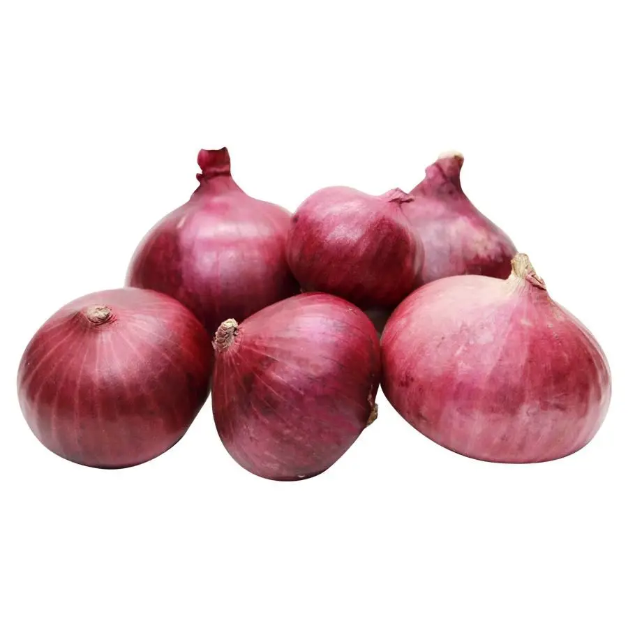 
Pakistan 100% Top High Quality fresh onions from Pakistan 