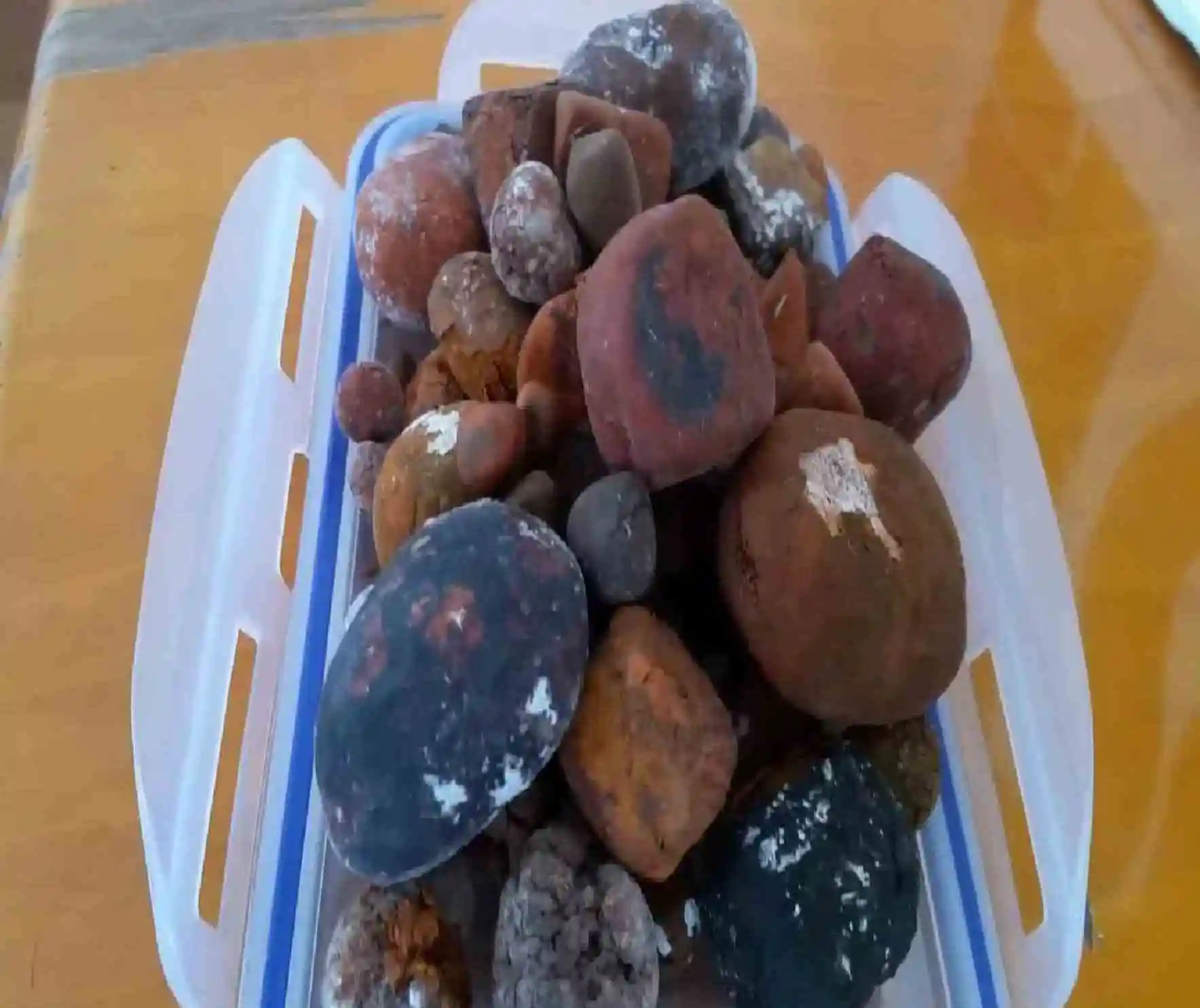 100% Natural Top Quality Ox Gallstones Cattle Gallstones Cow Gallstones for Sale