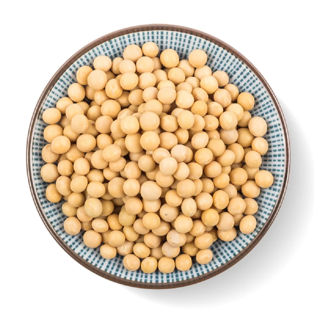 Organic Non-GMO Soybean Seed Wholesale Price