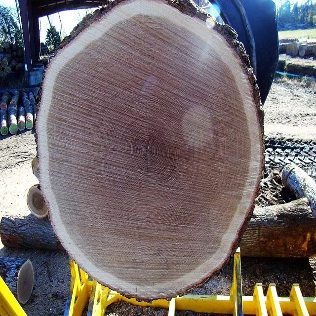 Black walnut Wood Round Logs Peeled Logs and poles