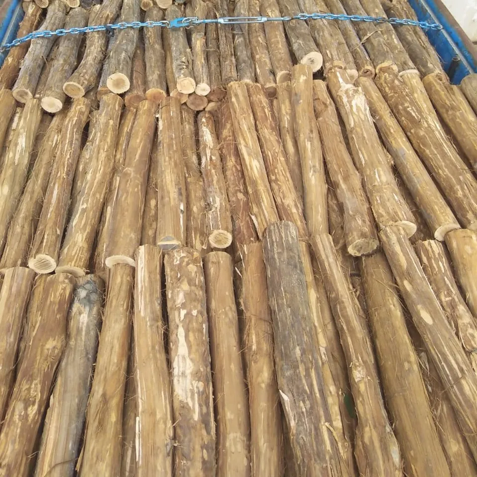 Хорошее сухое качество, дрова, дрова, пепельницы, лиственных пород для продажи по оптовым ценам