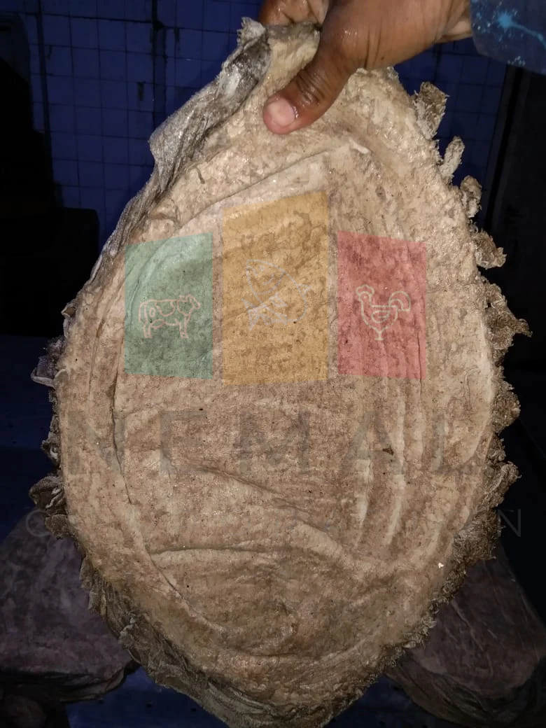 
Dried & Salted Beef Omasum At Best Export Price from Pakistan 