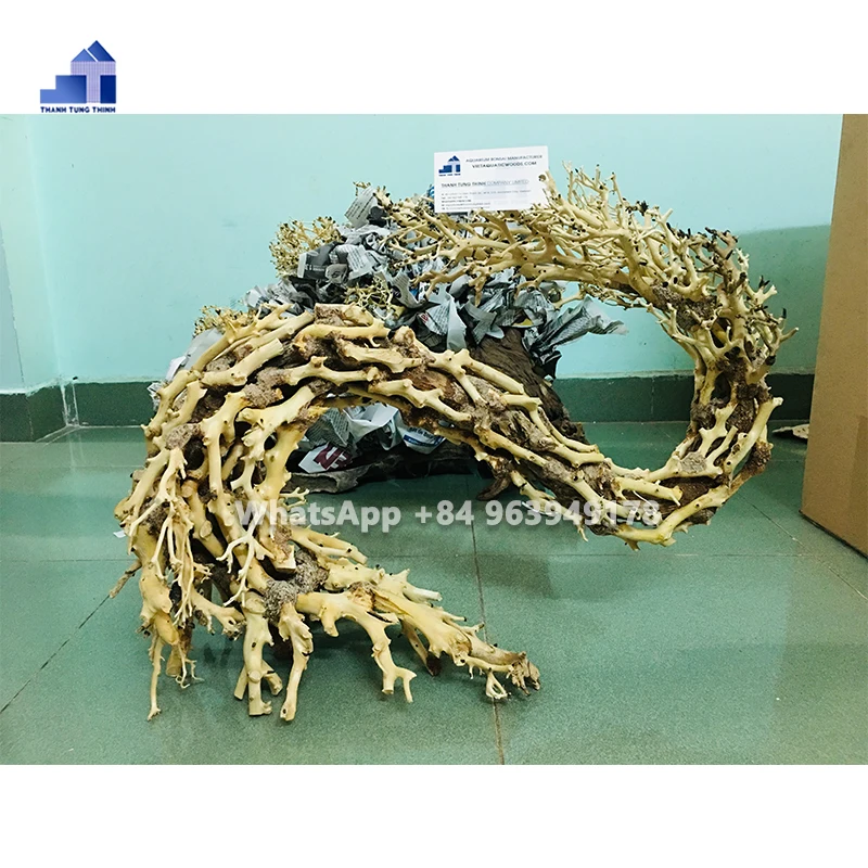 2024 Hot Design Dragon-shaped Large aquarium bonsai driftwood aquarium live plants WhatsApp +84 961005832