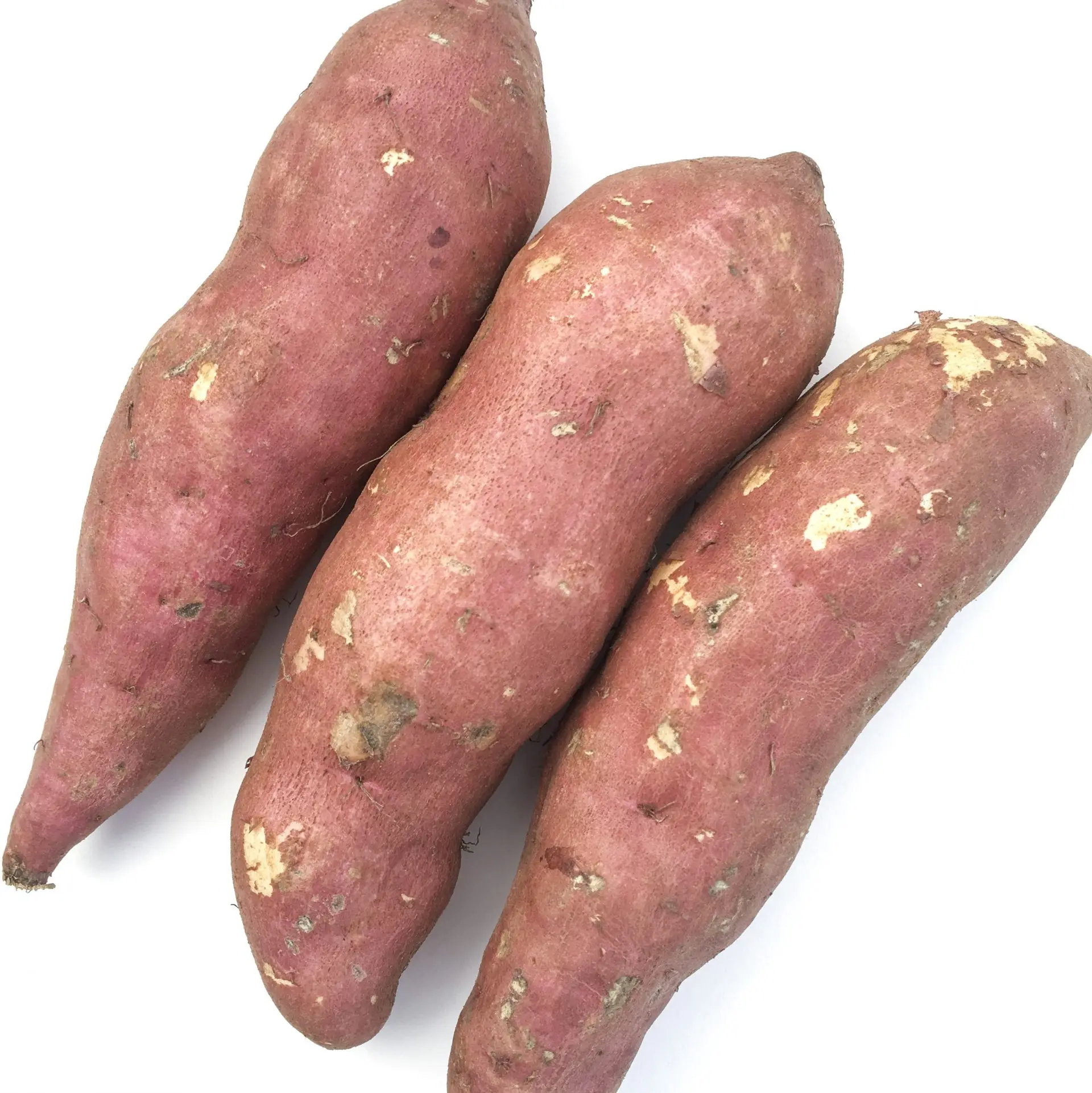 Export Japan Sweet Potato from Vietnam