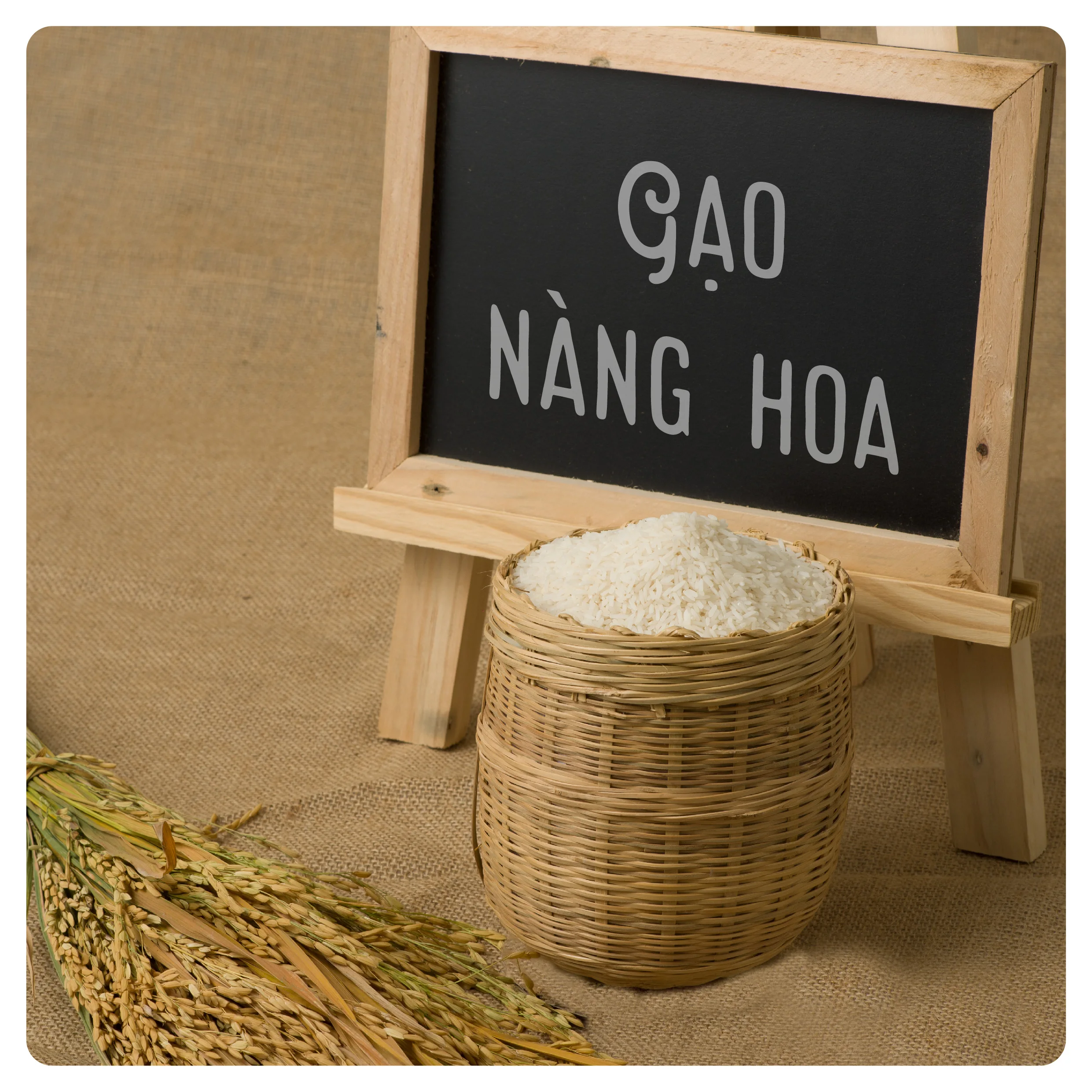 Рис из Вьетнама сельскохозяйственный Сушеный Белый 2020 урожай среднего зерна 18 месяцев полка 5% соотношение сломанности