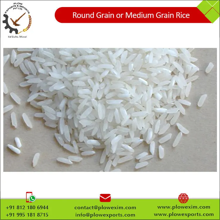 Round Grain or Medium Grain Raw Rice 5% Broken Round Rice Bulk Supply