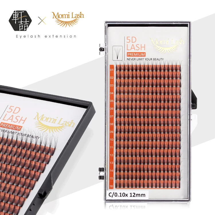 New Private Label 5D Premade Fans Lashes Vietnam Volume Eyelashes