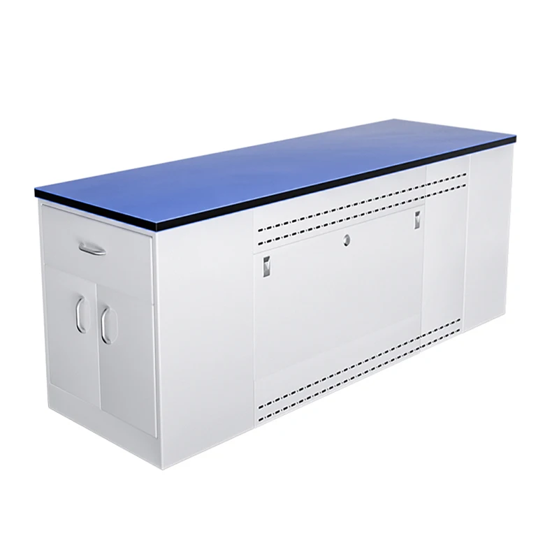 Modular Lab Bench Wooden Central Island Work Table Laboratory Pharmaceutical factory Steel School Lab Bench