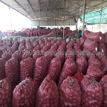 Indian Exports for onion from Arputham exports Podisu onion
