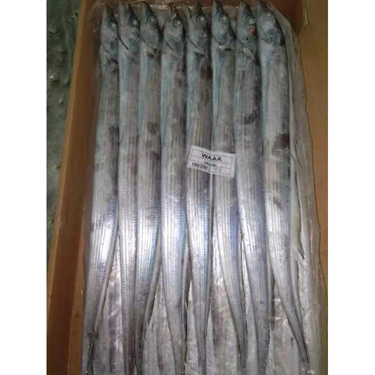 
Frozen Largehead Hairtail Frozen Ribbon Fish 