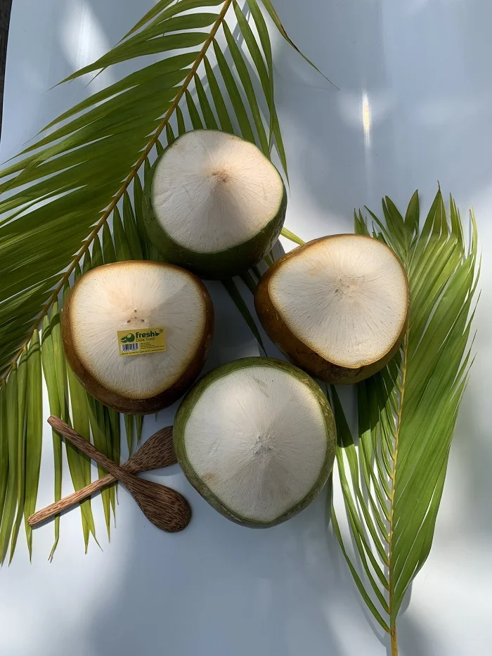 High Quality Best Seller Natural Whole Green And Hat Cut Shape Made in Vietnam Young Fresh Coconut Fruit