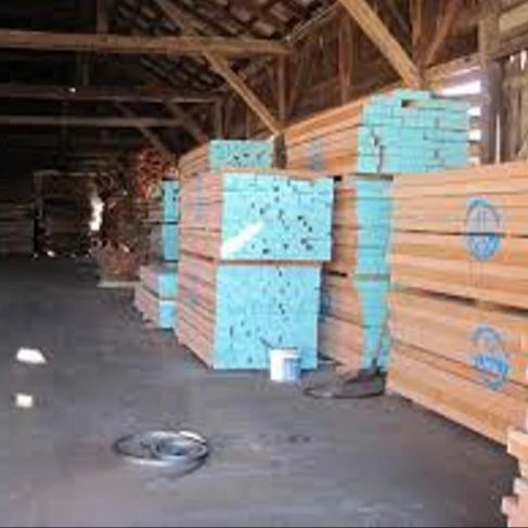  Beech Timber Type