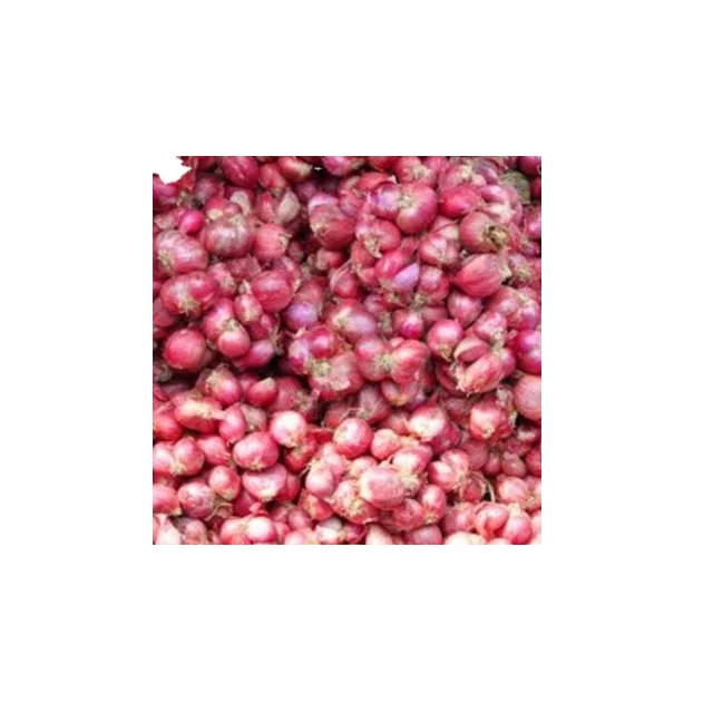 SAMBAR ONION SMALL ONION wholesale supplier and exporter from tamilnadu at bulk quantity low price any time