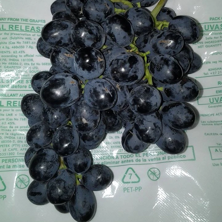 Black seedless and black seeded grapes