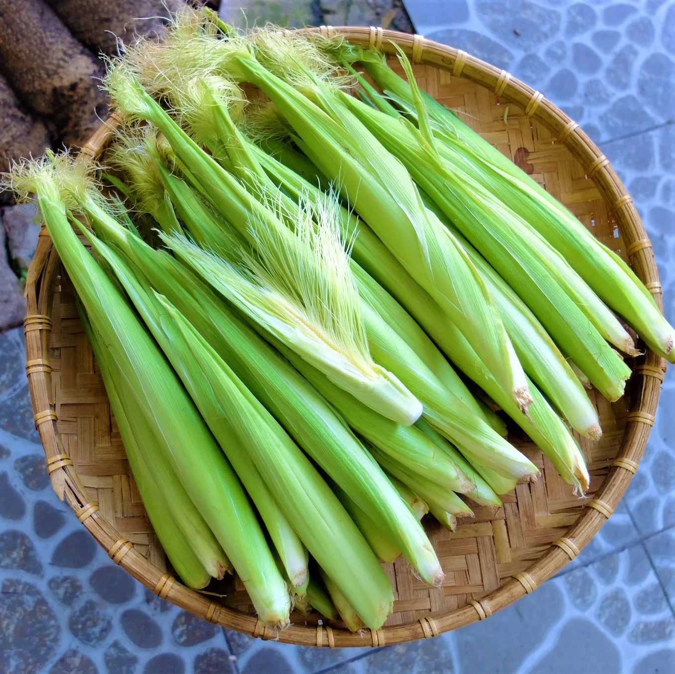 HASU Best Choice High Quality New Crop Frozen Fresh Baby Corn Shipping From Viet Nam