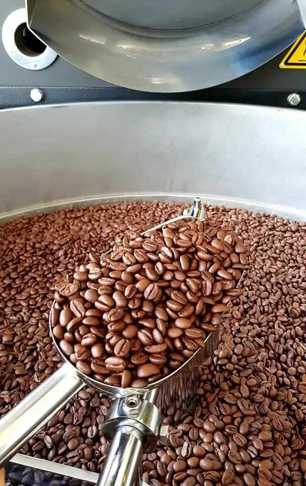 
Made in Vietnam Wholesales Green Beans Coffee Coffee Green Beans Robusta Coffee Bean 