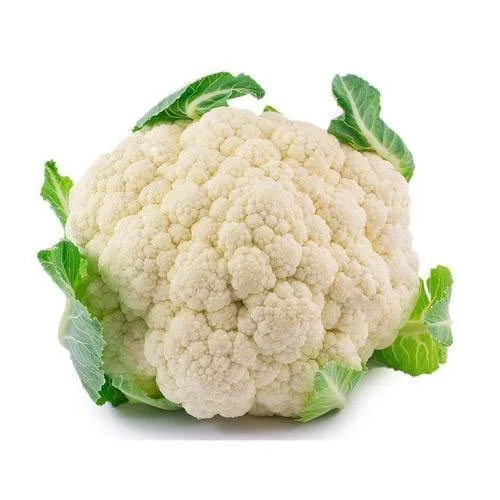 Wholesale Price Fresh Vegetables Cauliflower Available for Sale Bulk Quantity