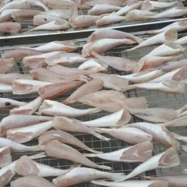 Wholesale Vietnam Supplier OCOP Air-dried 12 Months Natural Body Dried Orange Flying Fish with Vacuum Packaging