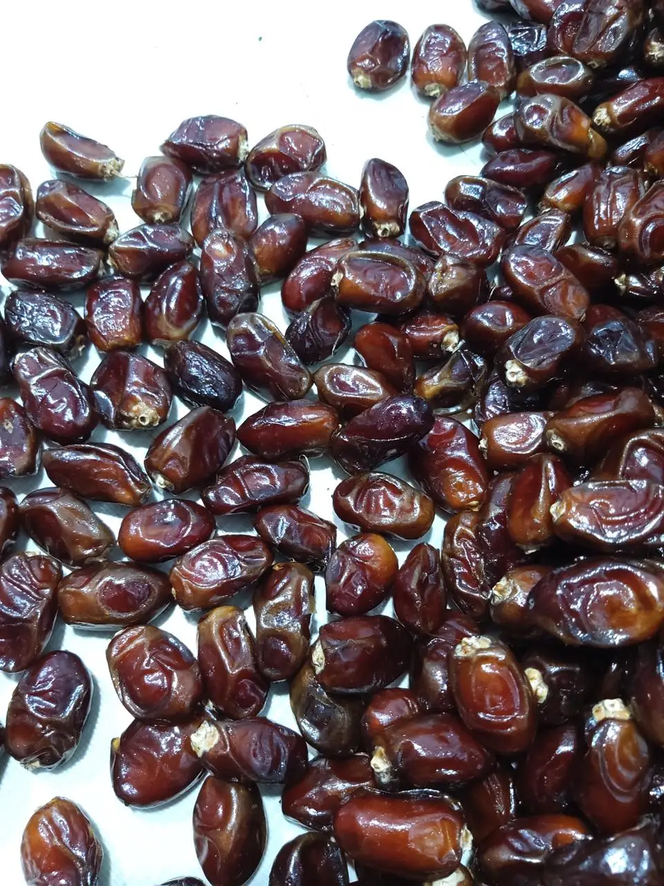 Свежие качественные косточки KHAJOOR без семян, измельченные даты, большое количество, смешанные даты