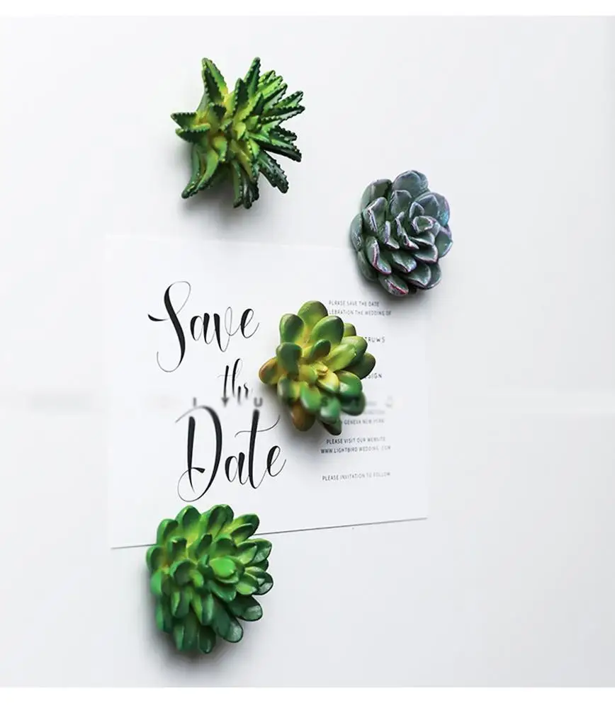 Funny 3D Resin Succulent Fridge Refrigerator Magnets Good Gift for Kid Friends