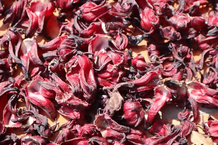  100% натуральный чай из роз гибискуса/высушенные цветы розы по лучшей цене Вьетнама MS KATHY + 84 896650714