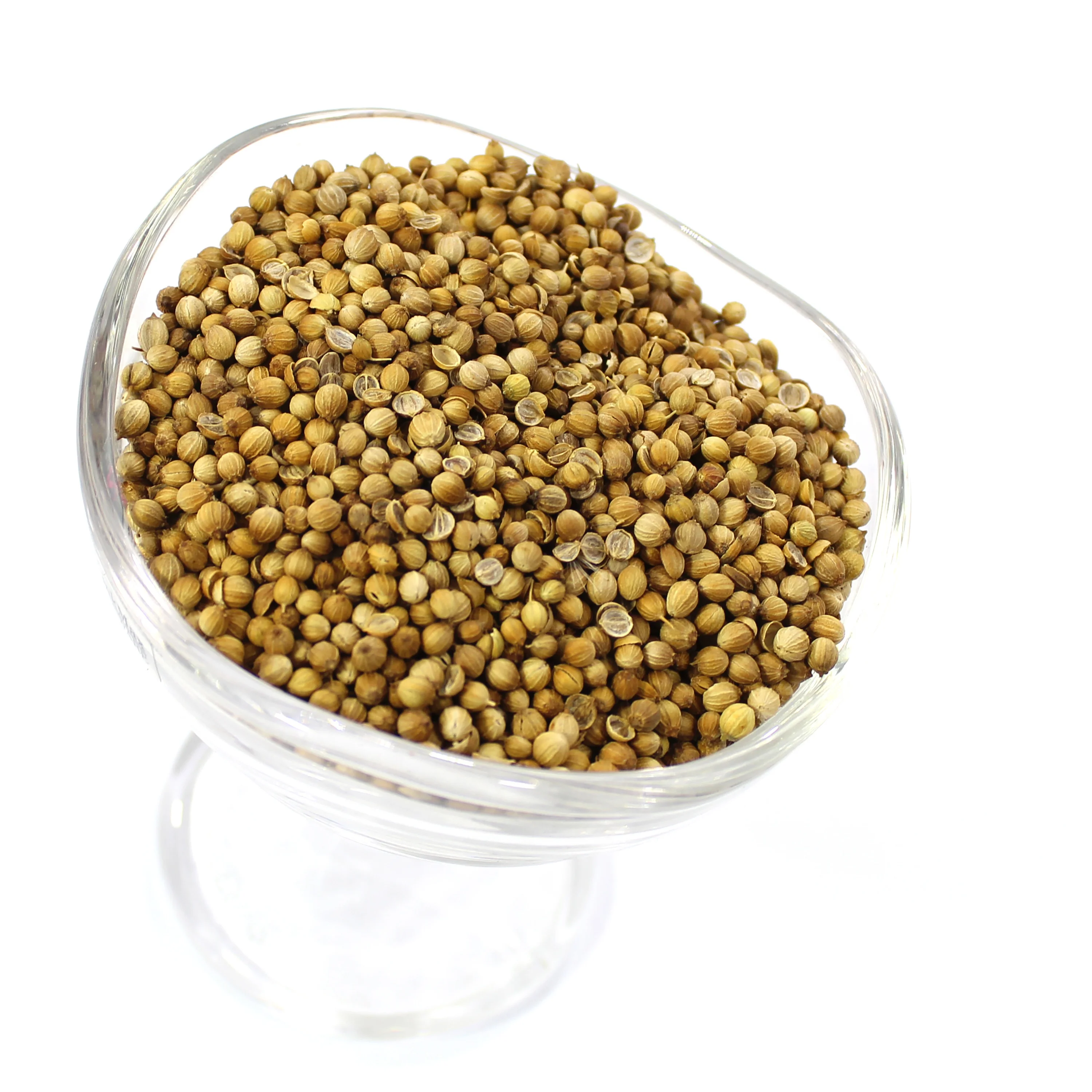 
(SPICES LAND for EXPORT) Coriander Seed for - BEST QUALITY, BEST PRICES AD Single Herbs & Spices Dried Raw Granule BRC ISO 