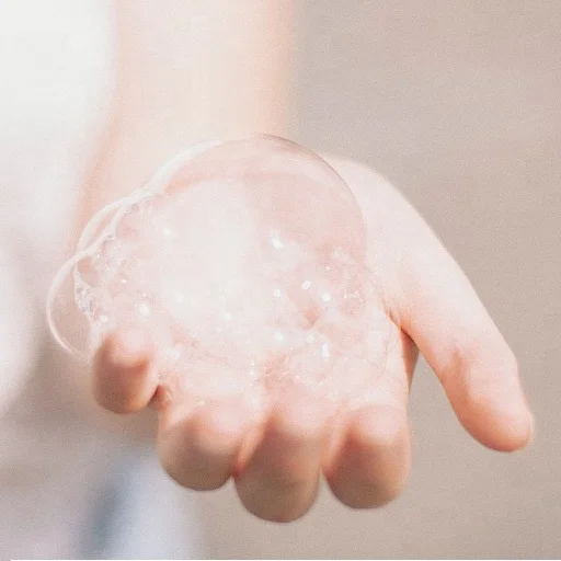 shampoo and conditioner