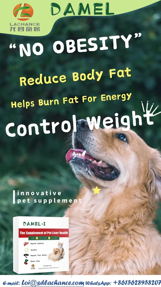 Dog Nutrient digestion Health Supplement with Patent | care about liver and gallbladder health | prevent liver diseases