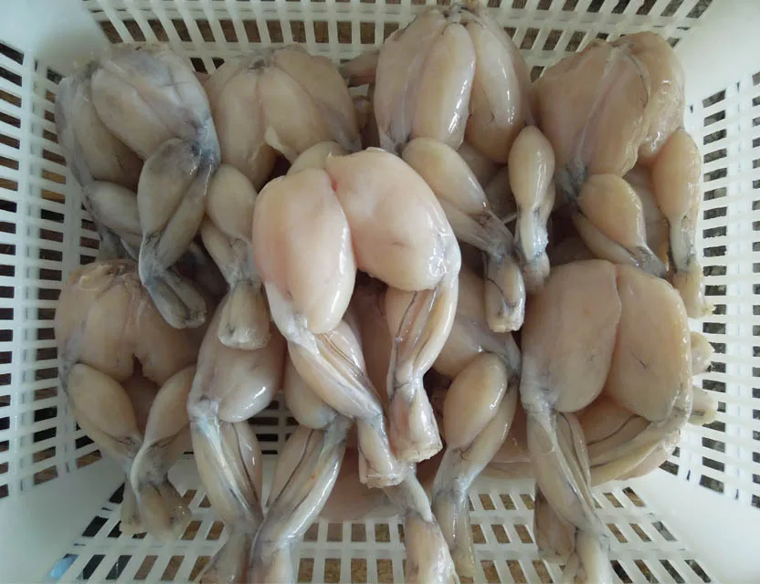 High Quality Skinless Frozen Frog Offered