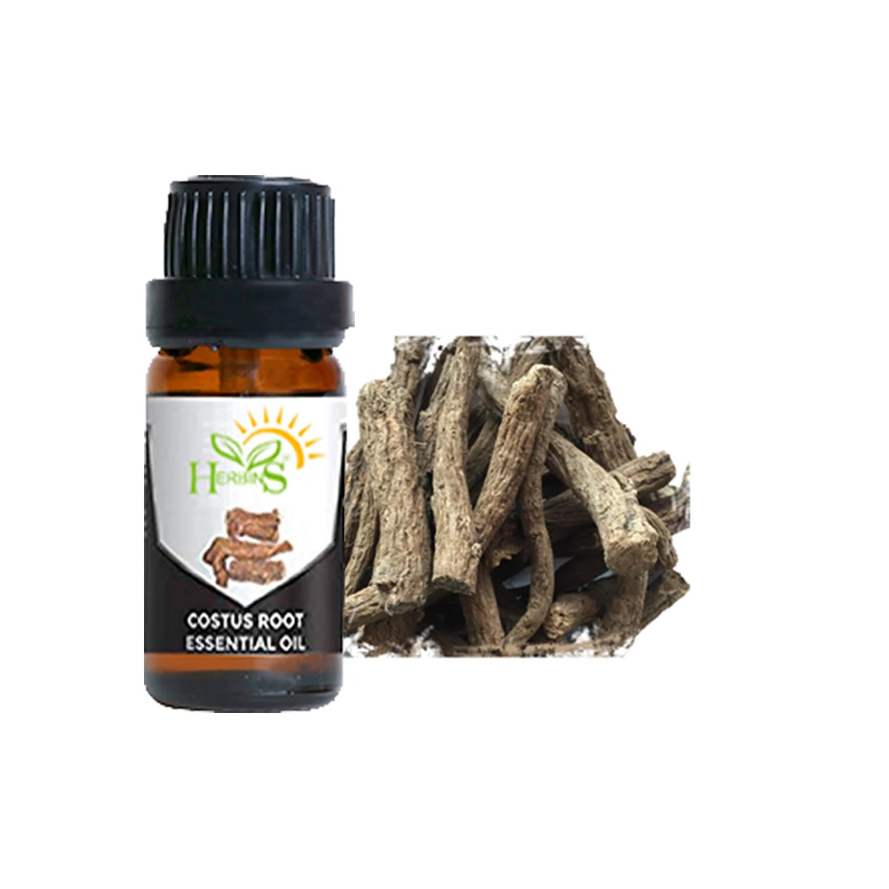 Wholesale Price Pure Organic Costus Root Oil