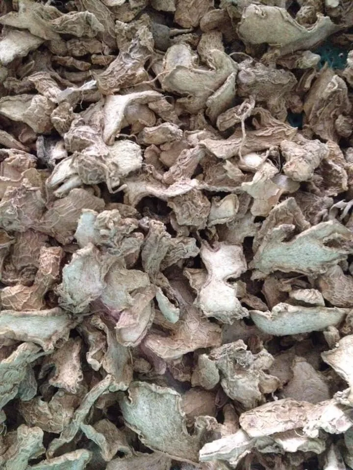 DRIED GINGER