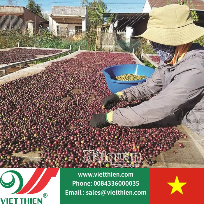 Высококачественный кофе Арабика по оптовой цене оптом для экспорта всему миру лучший вкус