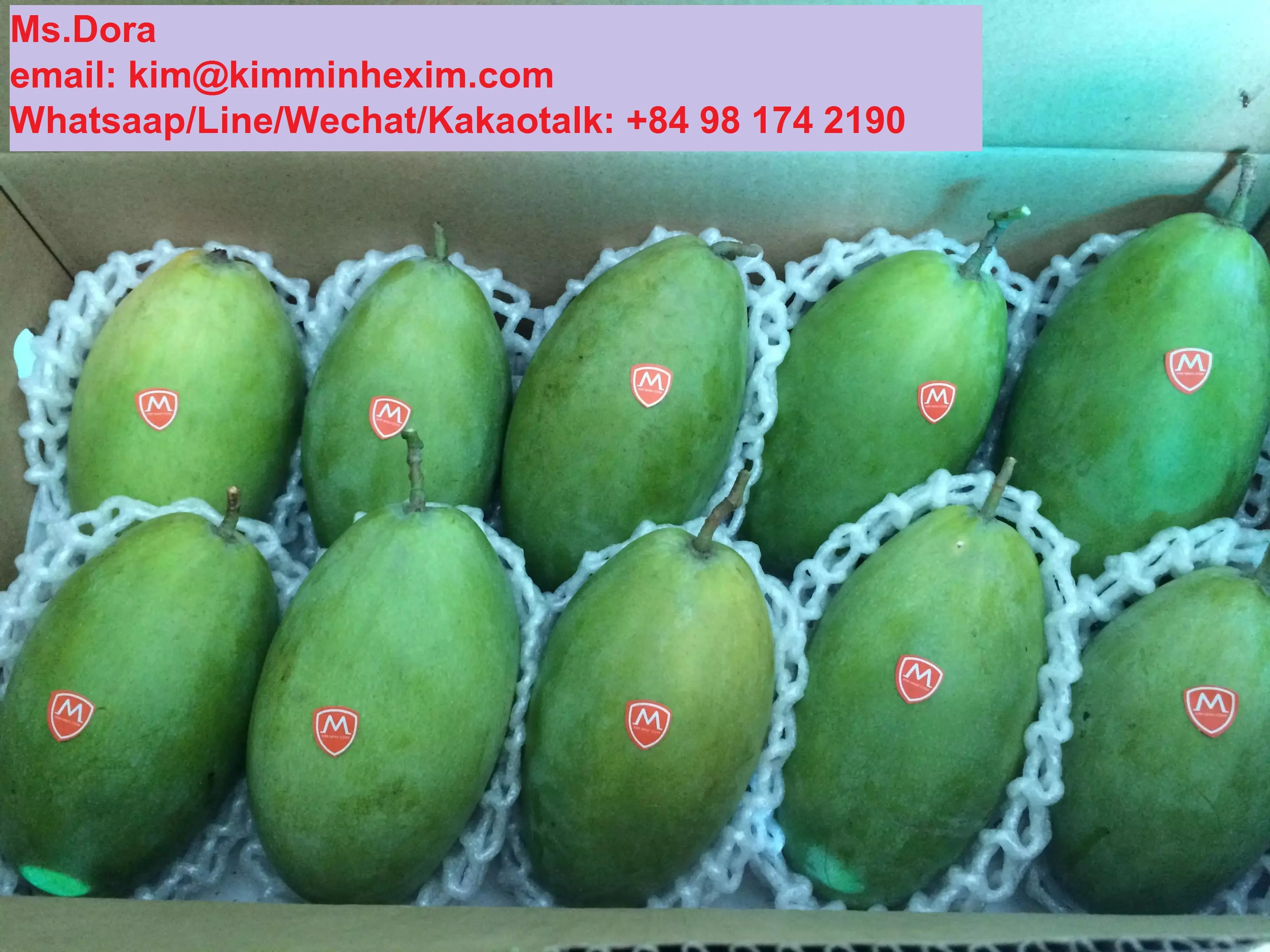 2022 Premium Fresh Mango/Mango Sweet Mango VietNam
