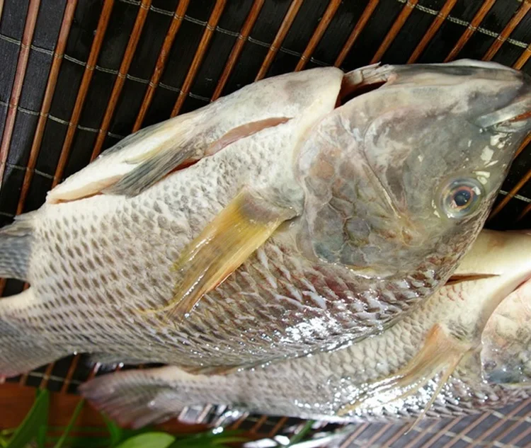 Черная Тилапия рыба замороженная