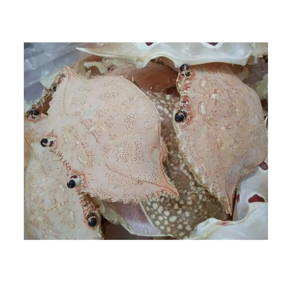 Красивая раковина краба/чистая и полированная краба/раковина (0084587176063 whatsap песчаный) 99 золотых данных