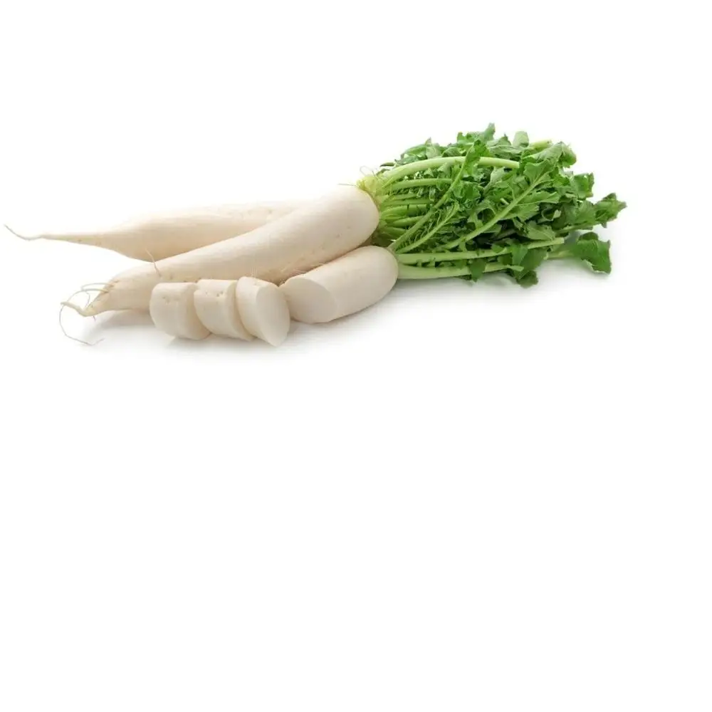 
 NEWS CROP WHITE RADISH AT CHEAP PRICE FROM VIET NAM/ WHATSAPP+0084 845639639  