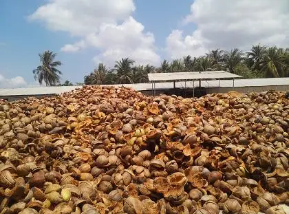 Вьетнамский высококачественный натуральный торфяной блок кокосового торфа/кокосовый кирпич по хорошей цене