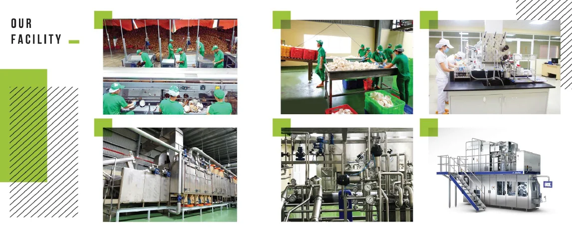 
COCONUT MILK - COCONUT CREAM - PAPER BOTTLE - ASEPTIC BAG PACKING - PRIVATE LABEL OEM 