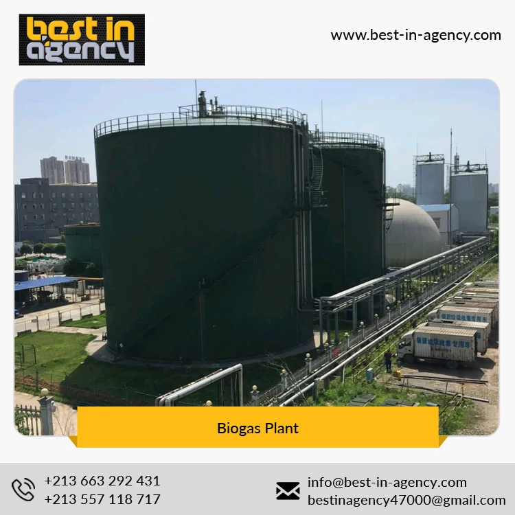 
20000 Nm3/Day Biogas Production Project with Cstr Anaerobic Digestion Tank Biogas Plant 