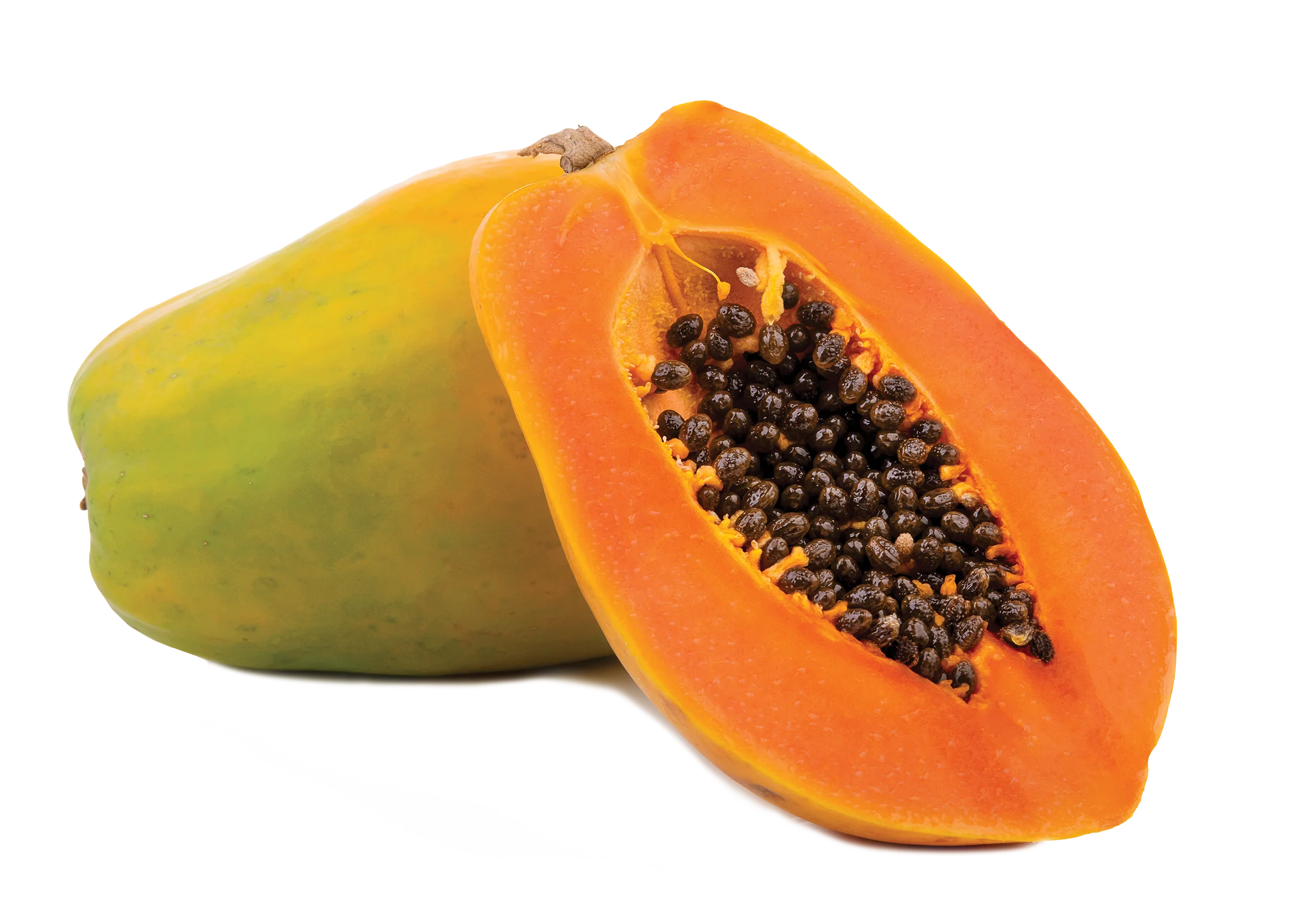 100% Natural Cold Pressed Wholesale Supply Bulk Papaya Seed Oil Essential Oils Cosmetics High Quality Top Grade