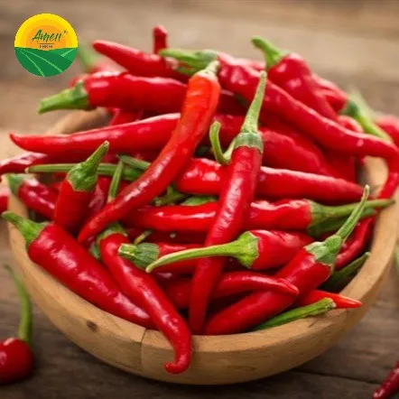 Fresh Red Chili Supplier, High quality chili from Vietnam