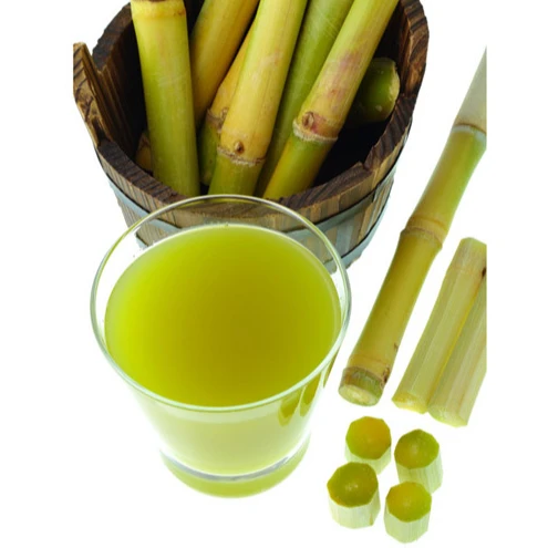 Черный сахарный тростник оптом