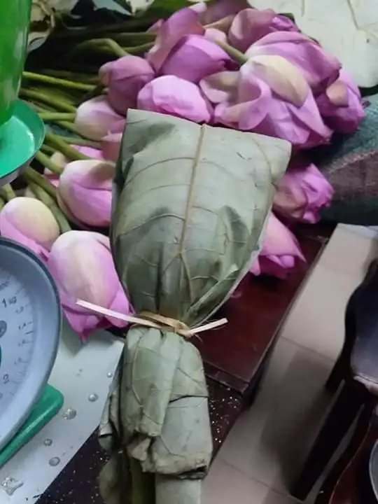 High QUality LOTUS FLAVOURED TEA