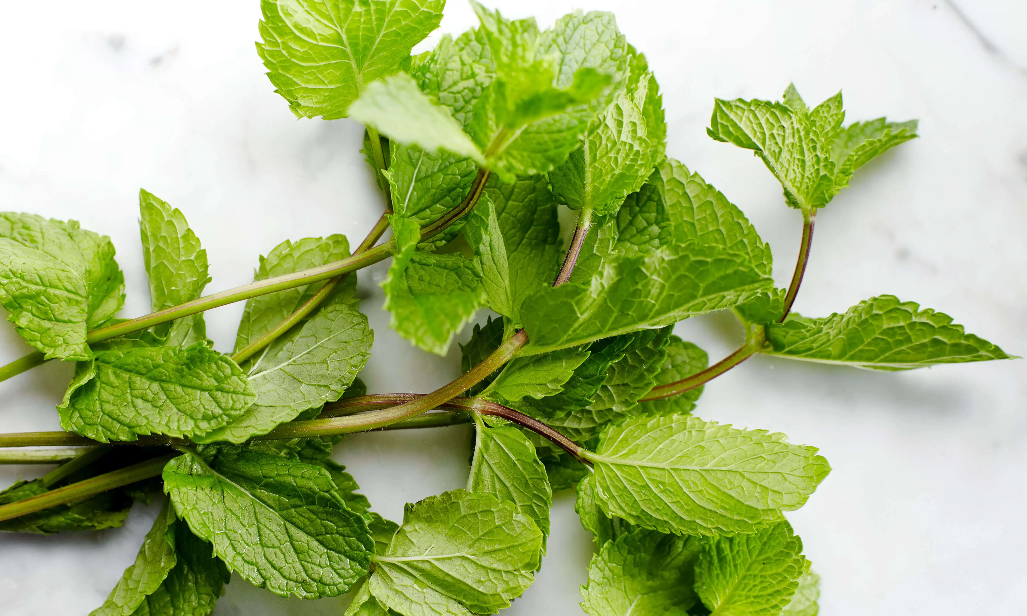 Peppermint Essential Oil for acne scars Cosmetic grade Soap Flavours Factory Sale High Concentration Organic Perfume Oil