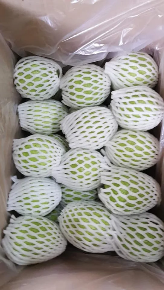  Вьетнам свежий гуава новый урожай по хорошей цене